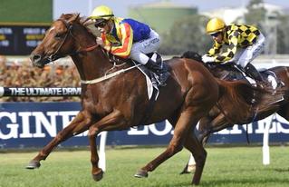 Spieth (NZ) scores a sensational win at Rosehill. Photo Credit: Steve Hart.